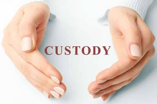 blog-custody - Adam C. Gynac & Associates LLC A Comprehensive Guide To Child Support In Illinois Page 3